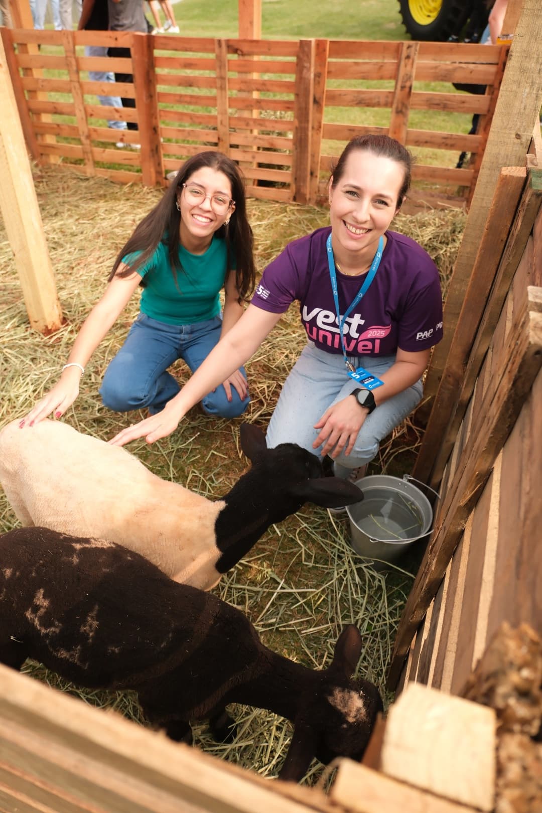 Univel Play - Foto 3