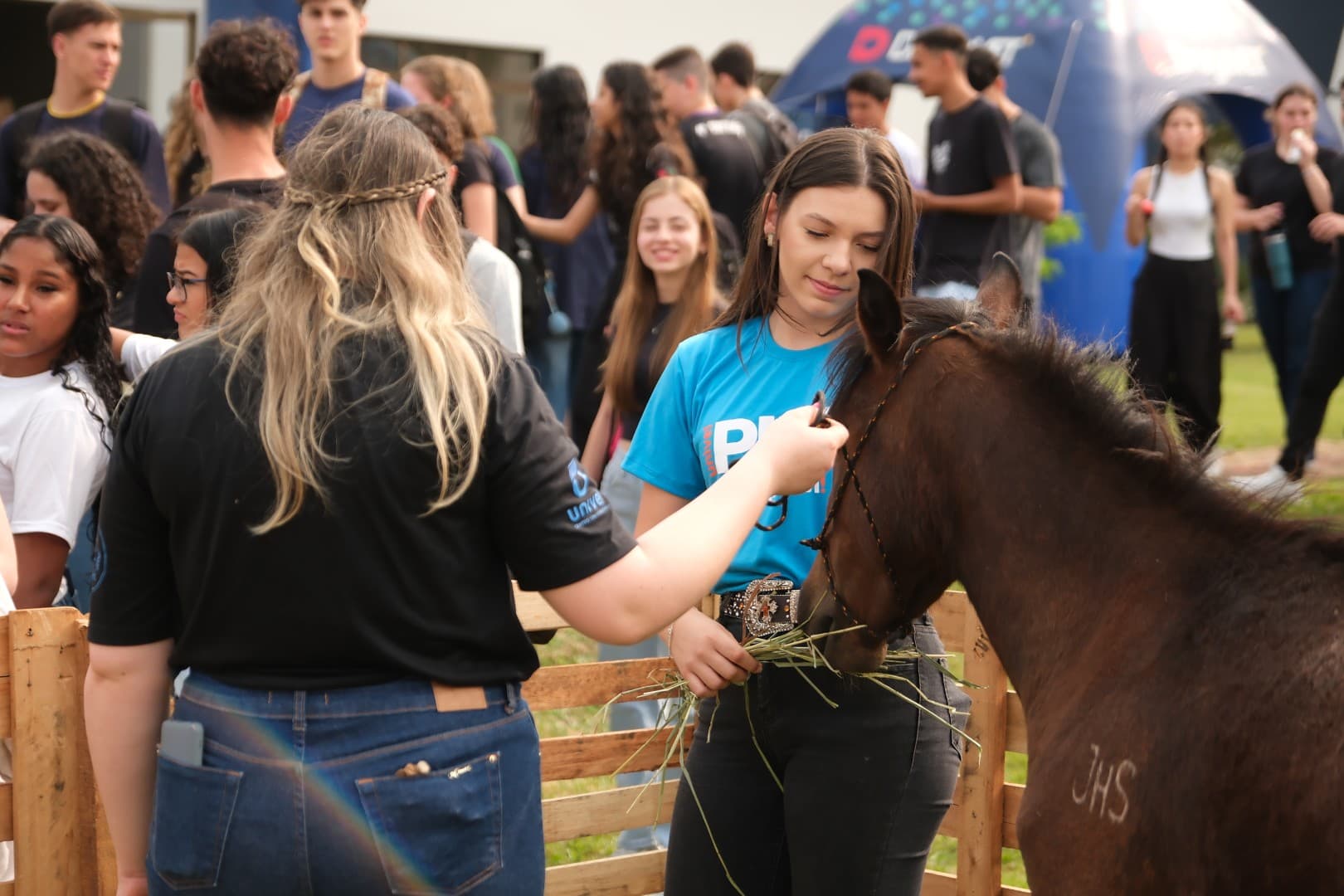 Univel Play - Foto 6